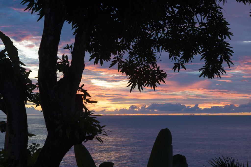 Castara Retreats Exterior foto